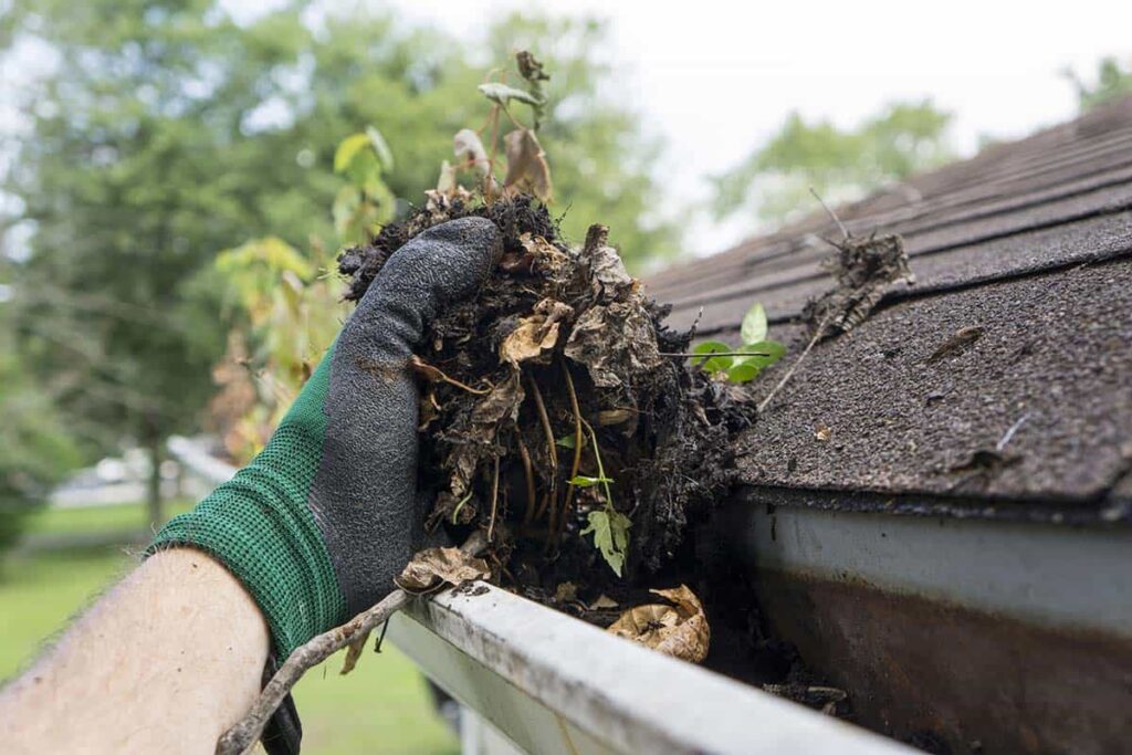 Importance of Gutter Cleaning